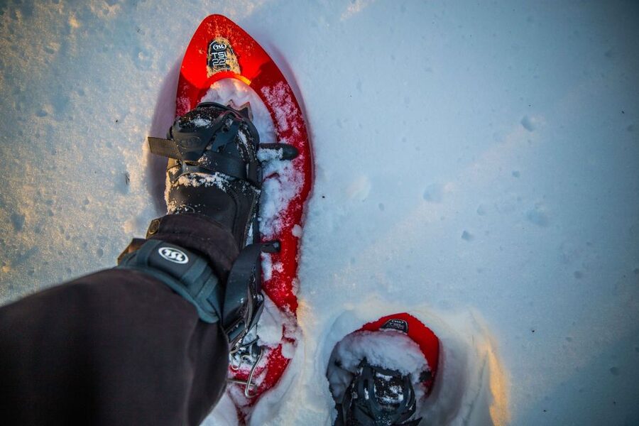 Levi: Snowshoe Adventure in the Wilderness - Entering deep snow: pace, breaks, and the feel of making your own path