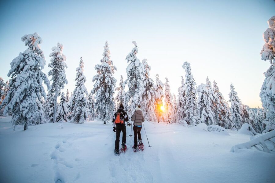 Levi: Snowshoe Adventure in the Wilderness - Campfire snacks and a BBQ break that actually resets you