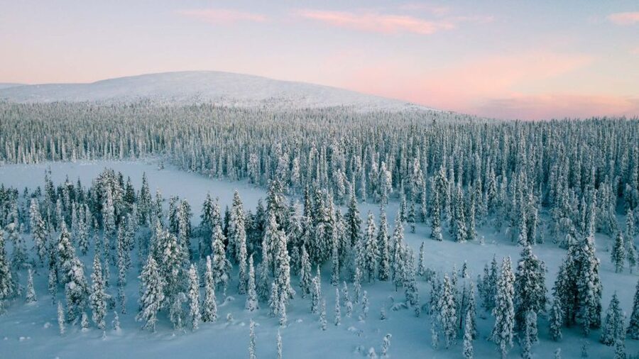 Levi: Snowshoe Adventure in the Wilderness - A professional photography guide, plus tips you can use right away