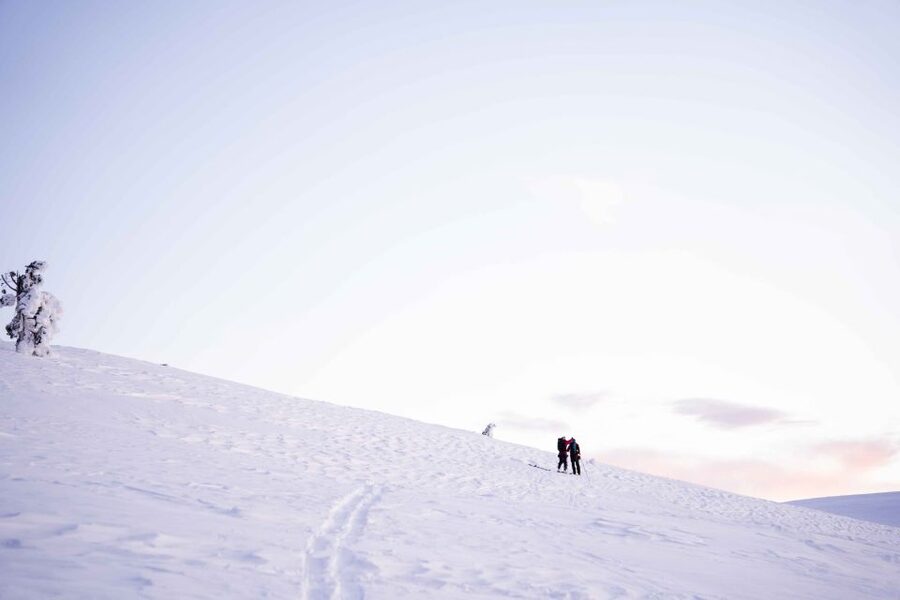 Levi: Snowshoe Adventure in the Wilderness - Photo stops that make the snow look like something you want to remember