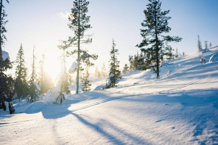 Levi: Snowshoe Adventure in the Wilderness - Gear, fitness, and who should be comfortable in deep snow