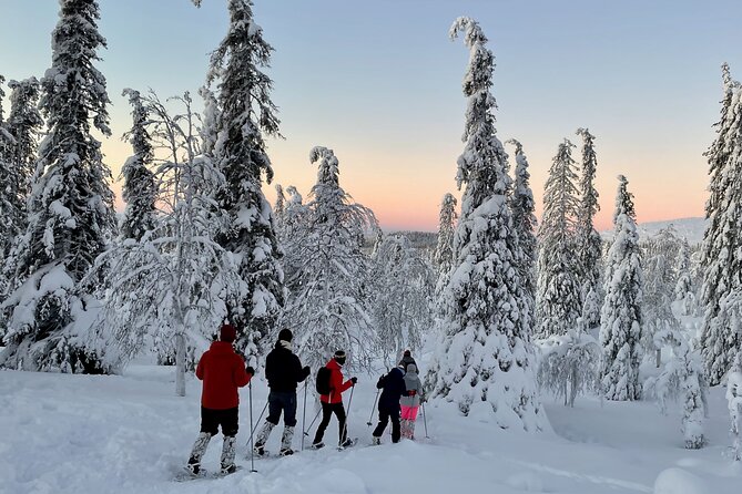 Levi: Snowshoeing adventure in the National Park - Key highlights you should know before you go