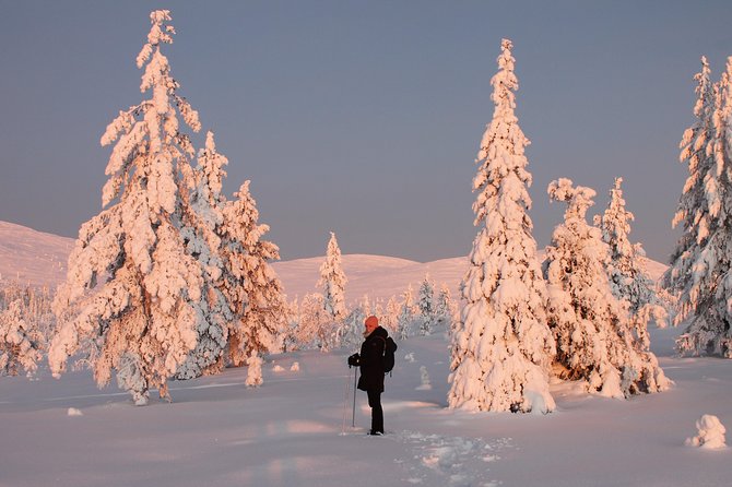 Levi: Snowshoeing adventure in the National Park - Why this Levi snowshoe day works in real life