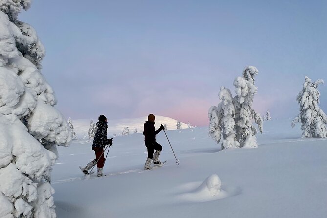 Levi: Snowshoeing adventure in the National Park - The campfire lunch that makes this feel like Lapland, not just a walk