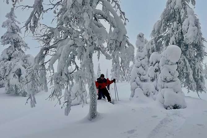 Levi: Snowshoeing adventure in the National Park - Winter clothing: what’s included, what costs extra, and what to plan