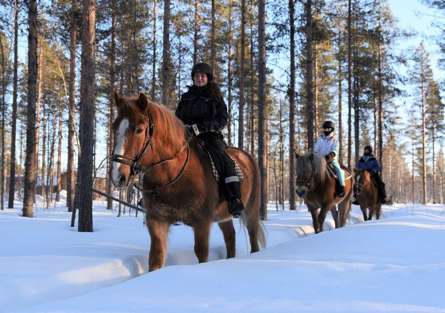 Levi: Snowy Forest Ride and Polar Lights Tours - Where the tour starts, and why the location matters