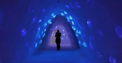 Trip to Lapland Snow Village with Entry Tickets