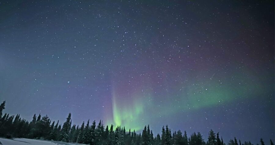 Levi: Twilight Snowmobile Safari & Stargazing Experience - Practical tips for a smoother Levi winter night