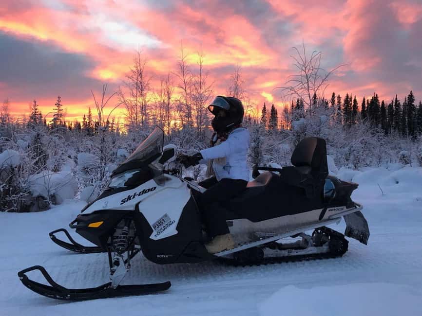 Levi: Twilight Snowmobile Safari & Stargazing Experience - The secret forest stop: photos, driver swap, and Northern Lights timing