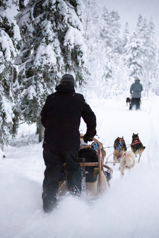 Levi: Winter Highlights Family Day - Mini-Snowmobiles for Kids: The Highlight When Ages Match