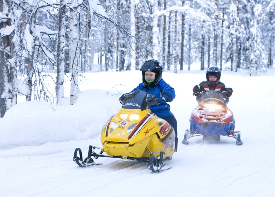 Levi: Winter Highlights Tour with Snowmobiling - Key Things to Know Before You Go