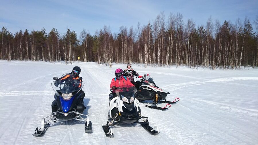 Levi: Winter Highlights Tour with Snowmobiling - Husky Farm Time: Learning, Sniffing, and a 500-Meter Sleigh Ride