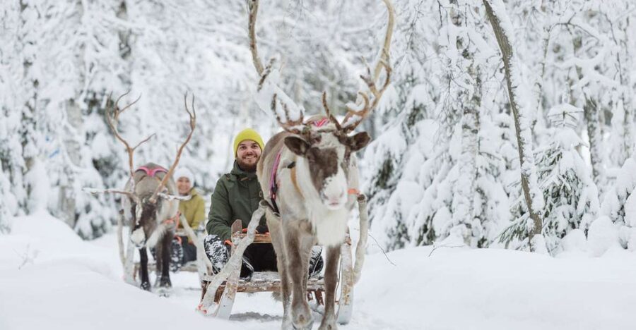Levi: Winter Highlights Tour with Snowmobiling - Reindeer Farm Moments: A Gentle Ride Through the Arctic Routine