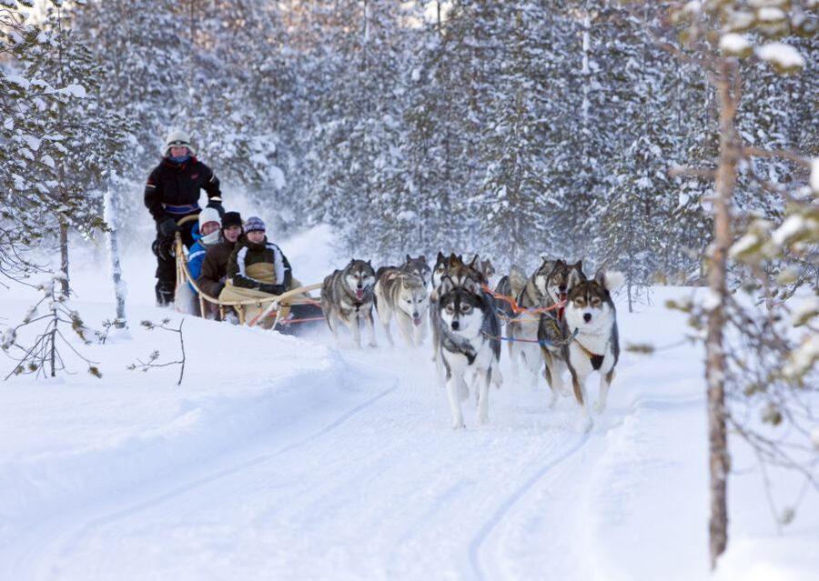 Levi: Winter Highlights Tour with Snowmobiling - Getting Ready in Levi: Pickup, Winter Gear, and Safety Gear