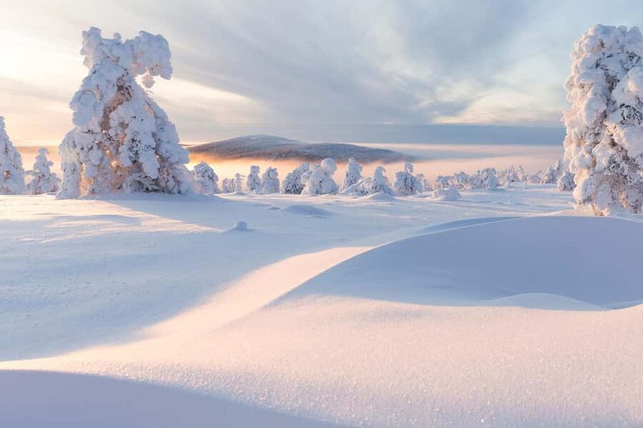 LEVI Winter Snowshoeing in the Wilderness (ALL INCLUDED) - Wildlife Talk You Can Actually Use on the Trail