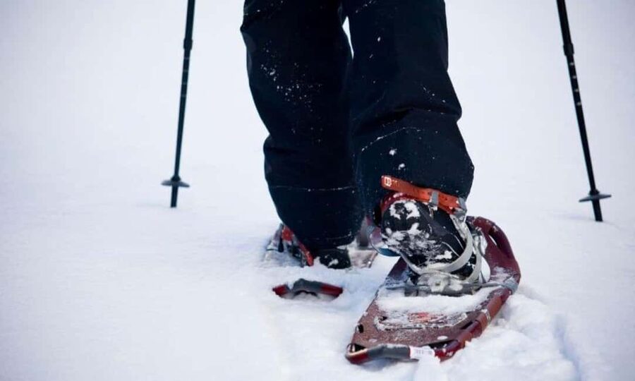 LEVI Winter Snowshoeing in the Wilderness (ALL INCLUDED) - Logistics That Matter: Pickup, Meeting, and Weather Plans