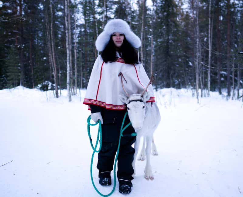 Levi: Winter Wilderness Husky & Reindeer Safari Combo Tour - The Reindeer Sleigh Ride: Fairytale Quiet Meets Real Herder Stories