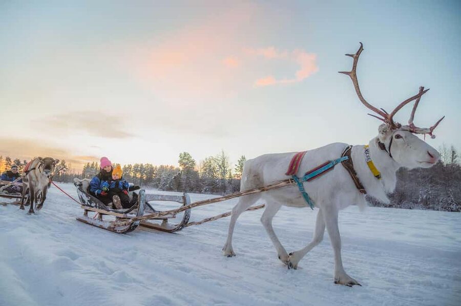 Magical Private Santa Visit, Reindeer Ride & Elf Workshops - The reindeer sleigh ride through snowy forest country