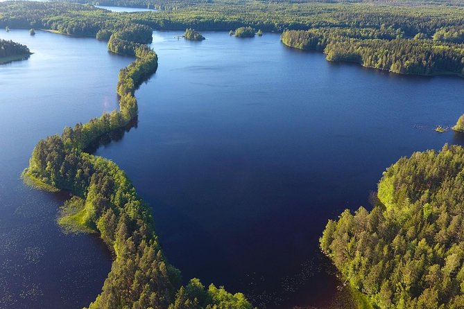 Magical Taiga Forest Hike with Lunch and Transportation - Foraging and mushroom safety: what the guide actually helps with