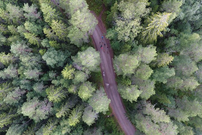 Magical Taiga Forest Hike with Lunch and Transportation - Comfort, weather, and what to pack for a rainy Taiga day