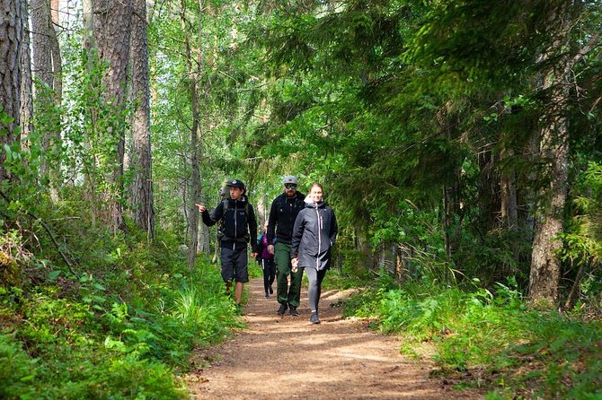 Magical Taiga Forest Hike with Lunch and Transportation - Price and value: why $187.53 can make sense here
