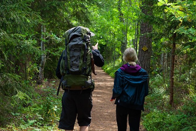 Magical Taiga Forest Hike with Lunch and Transportation - Quick decision: book or skip?