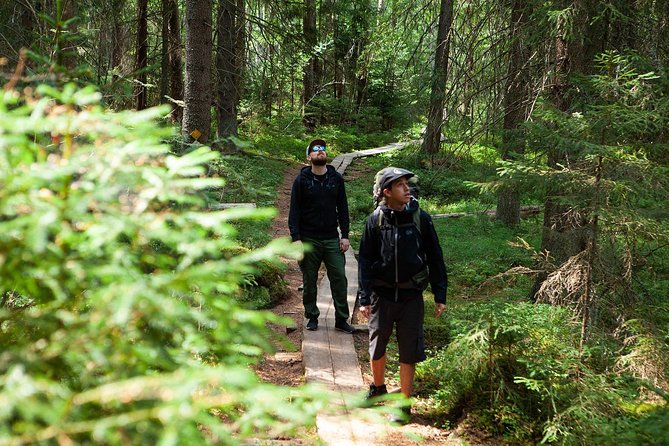 Magical Taiga Forest Hike with Lunch and Transportation - Liesjärvi National Park hike: easy walking with real forest learning