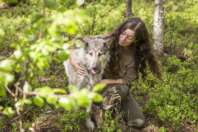 Meet Taivas & the Arctic Wolves - Private Tour - Key points before you go