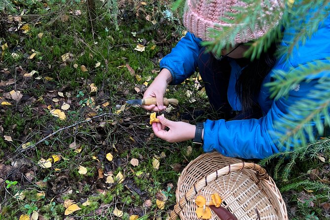 Mushroom Hunting in a National Park - Lakeside Campfire Lunch: Finnish Comfort Food with a Foraging Twist