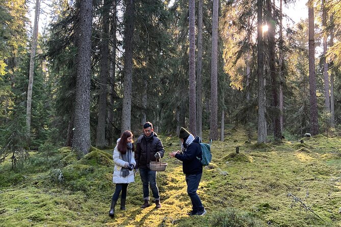 Mushroom Hunting in a National Park - Group Size, Pace, and Seasonal Realities