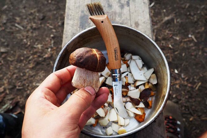 Mushroom Hunting in a National Park - Sustainability Label You Can Actually Feel