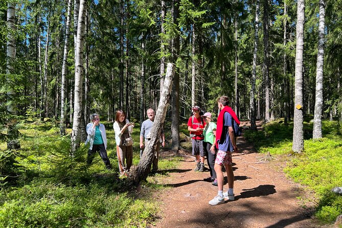 National Park Hike & Finnish Smoke Sauna Experience with Campfire Lunch - The National Park Hike: 6 km With Hills, Steps, and Views