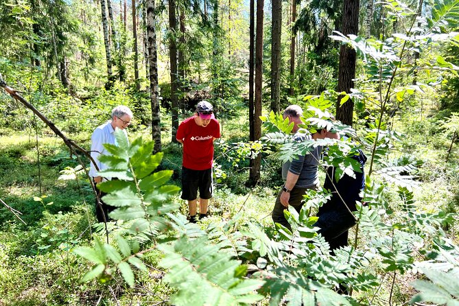 National Park Hike & Finnish Smoke Sauna Experience with Campfire Lunch - Smoke Sauna and Lake Dip: The Real Finland Rhythm