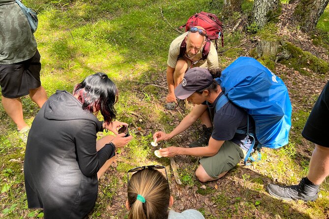 National Park Hike & Finnish Smoke Sauna Experience with Campfire Lunch - Gear, Clothing, and What Is Provided