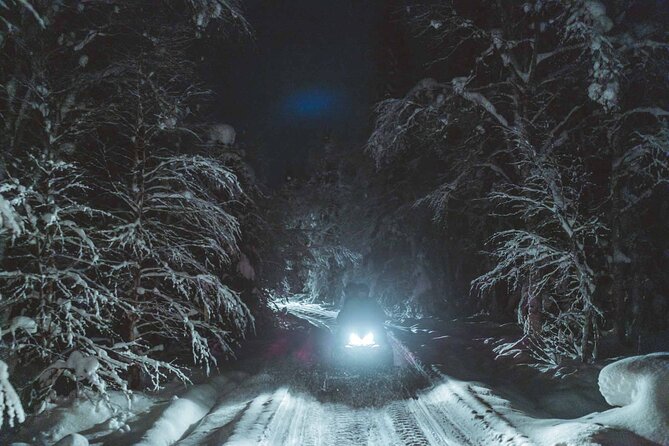 Night Snowmobile Safari, Rovaniemi - Price and value: what about $174 gets you