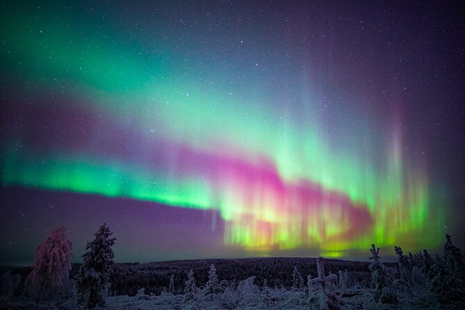 Night Snowshoeing Adventure under the Northern Lights - Gear That Actually Helps, Especially in Arctic Weather