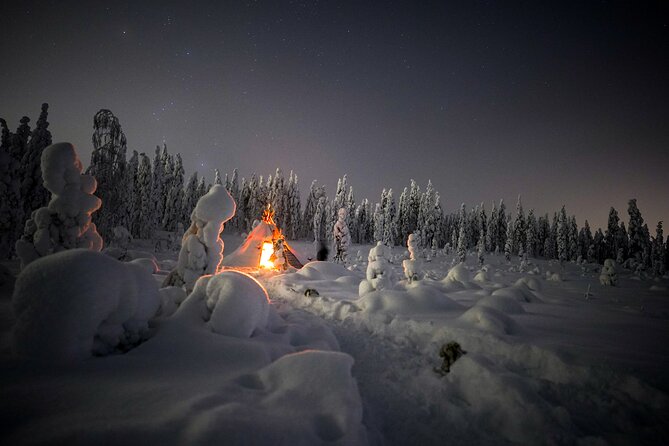 Night Snowshoeing Adventure under the Northern Lights - Northern Lights Odds: What You Can Control, What You Cannot