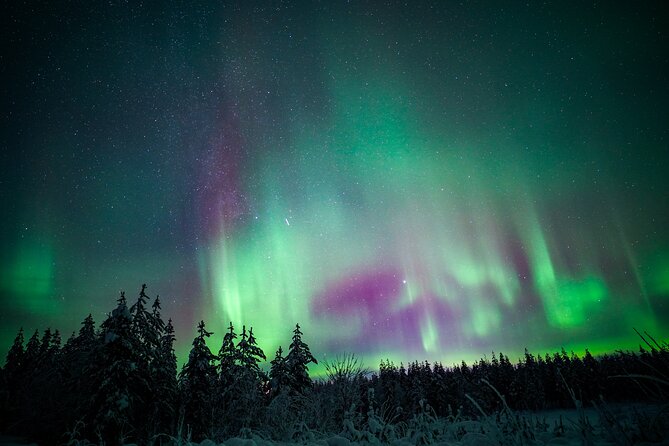 Night Snowshoeing Adventure under the Northern Lights - The Guide Factor: Why a Small Group Feels Personal