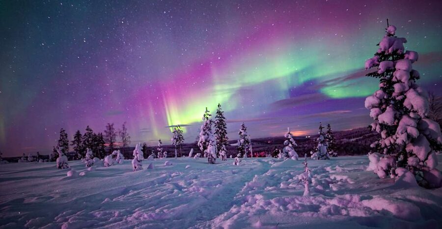 Night Snowshoeing Adventure under the Northern Lights - Pacing and Comfort: What the Night Walk Feels Like