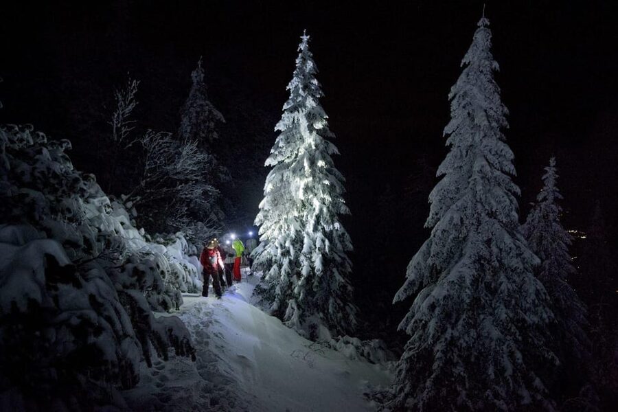 Night Snowshoeing Lapland Experience - Why Night Snowshoeing in Rovaniemi Feels Special Under a White Night Sky