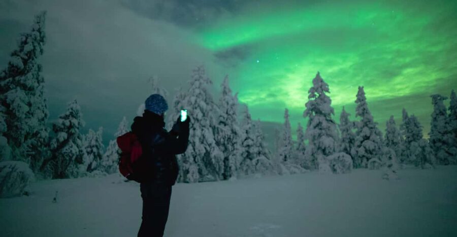Night Snowshoeing Lapland Experience - Headlamps, Snowshoes, and What You Gain from a Max-2 Group