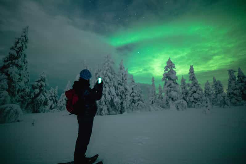 Night Snowshoeing Lapland Experience - Who Should Book This Night Snowshoeing Experience, and Who Should Skip It