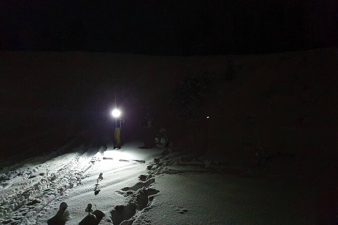 Nocturnal Skiing: Experience the Arctic's Magic - Why the max 4 travelers rule matters