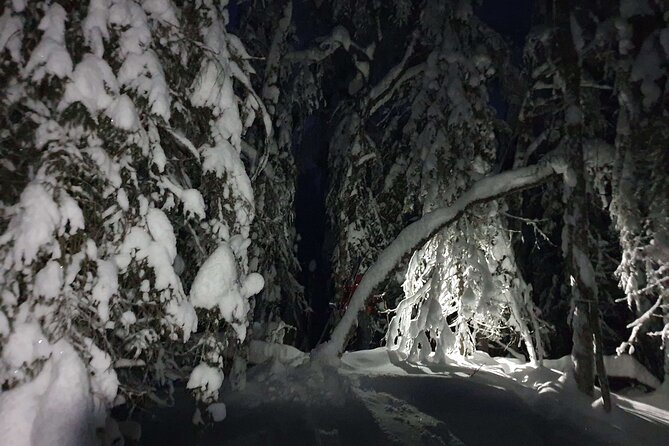 Nocturnal Skiing: Experience the Arctic's Magic - Getting started at the family cabin and meeting point