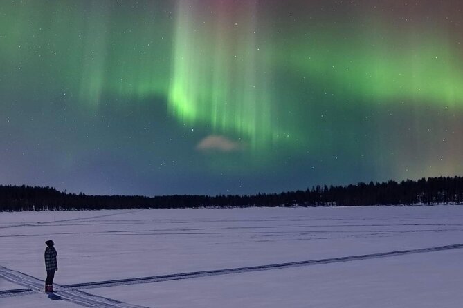 Northern Lights Adventure in the Wild with Campfire Treats - Price and Value: Is $179.82 Worth It?