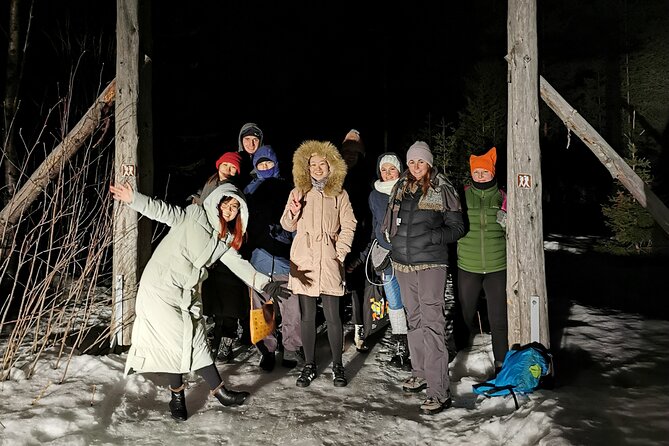Northern Lights Auroras from Kemi-Tornio with Pickup - Who the guides are and what the experience feels like with them