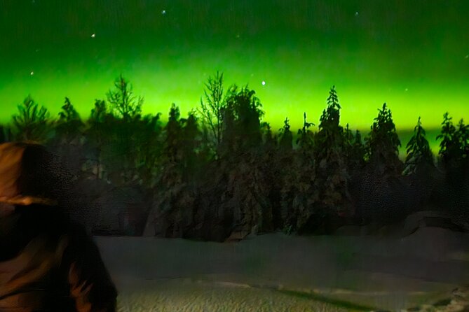 Northern Lights Auroras from Kemi-Tornio with Pickup - Timing, forecasts, and the honest talk about your odds
