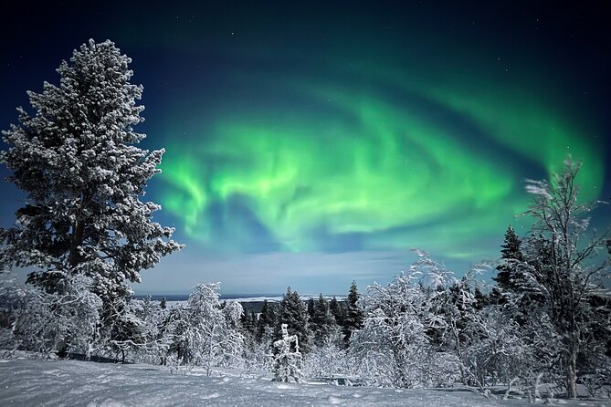 Northern Lights Holiday in Finland - Your Base in Ivalo: Xwander Apartments and Gear That Changes the Trip