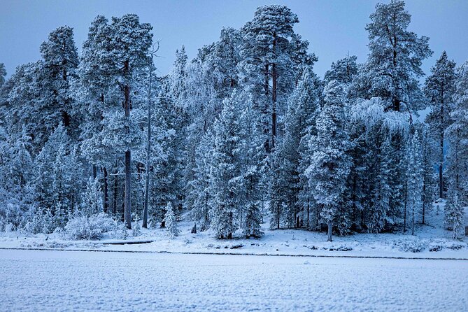 Northern Lights Holiday in Finland - Day 5: Backcountry Skiing Day and the Remote Aurora Camp Night