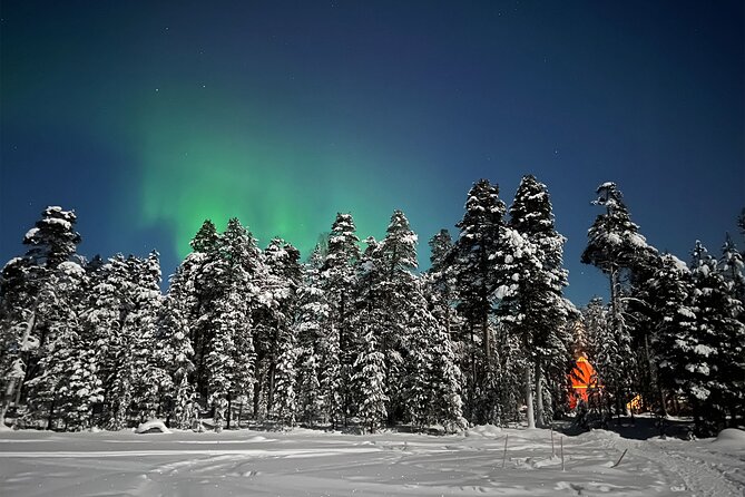 Northern Lights Holiday in Finland - Day 1: Meeting in Ivalo, Then Warming Up at Xwander Nordic Sauna